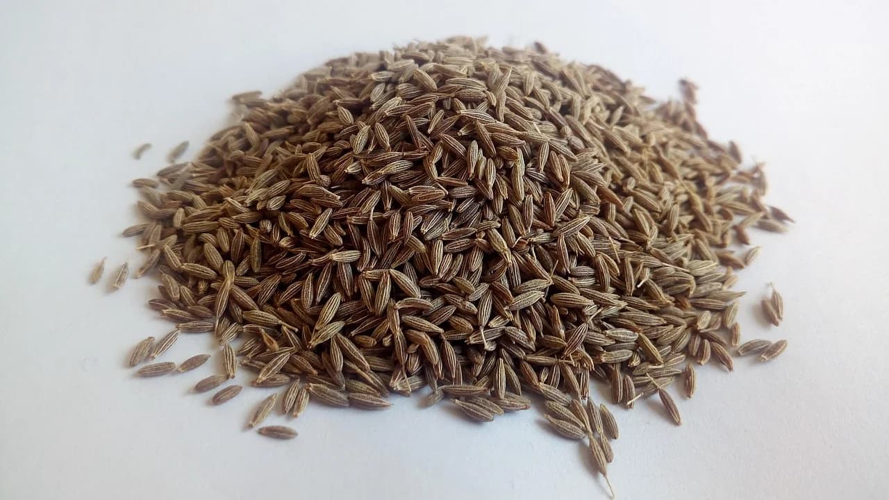 Cumin seeds piled on a white surface, ridged brown seeds in a loose heap