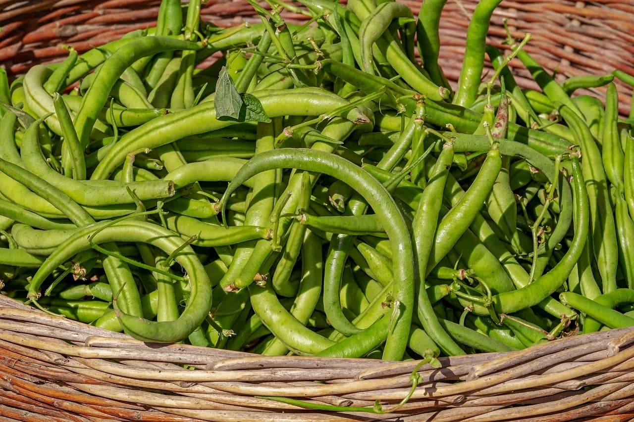 Green bean pods piled in a woven basket