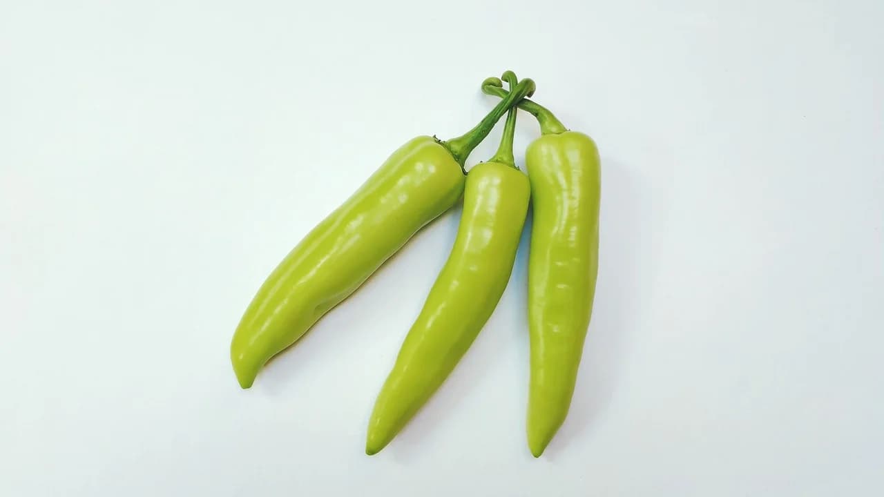 Banana peppers, three pale green tapered pods with stems on a white background