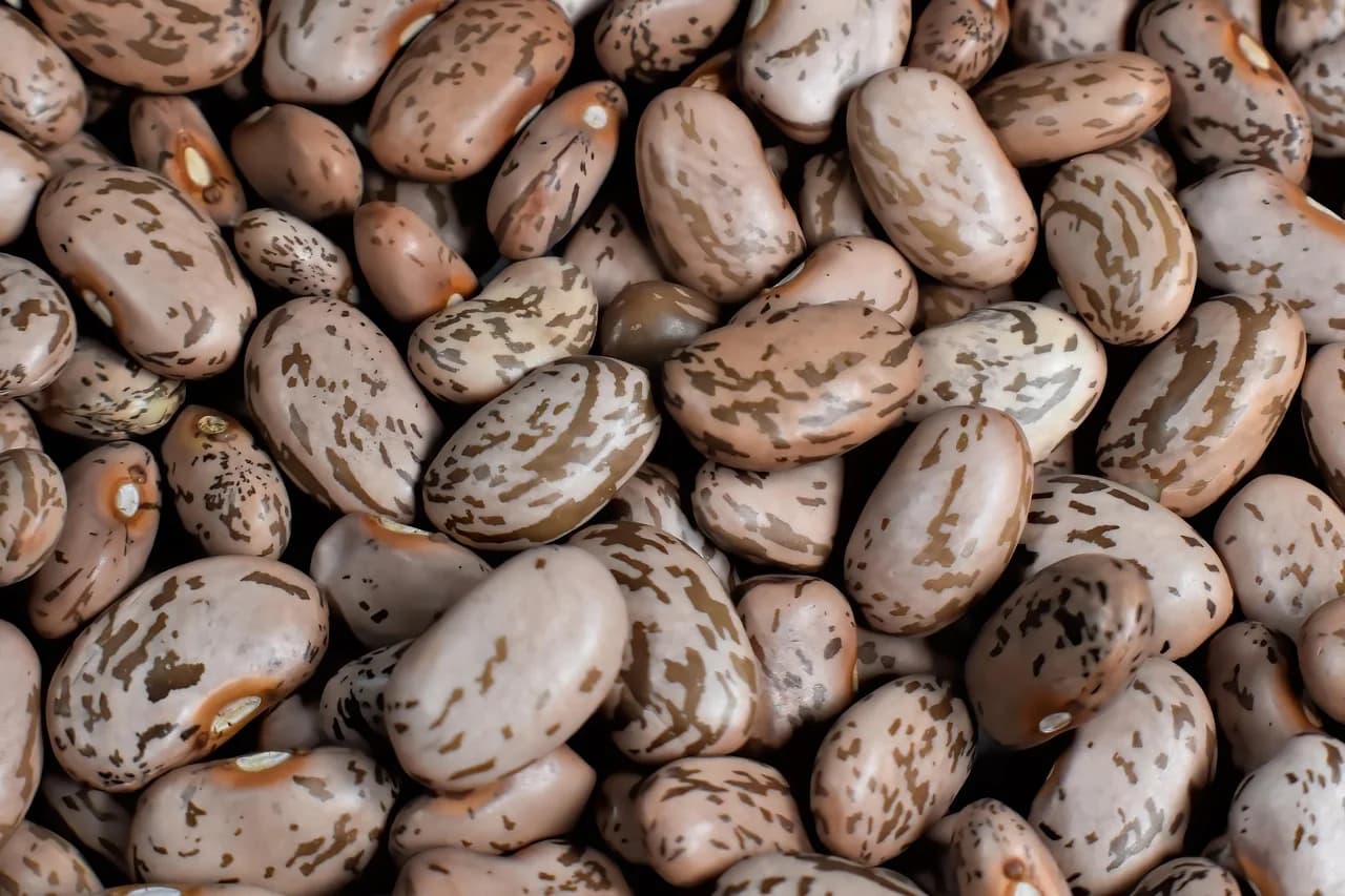 Pinto beans close-up showing beige dried beans with brown speckled markings